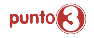 Punto 3